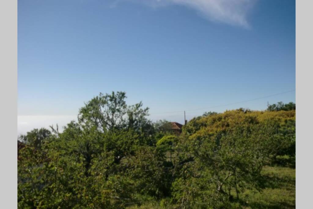 Casa Corea 2 Puntagorda  Luaran gambar